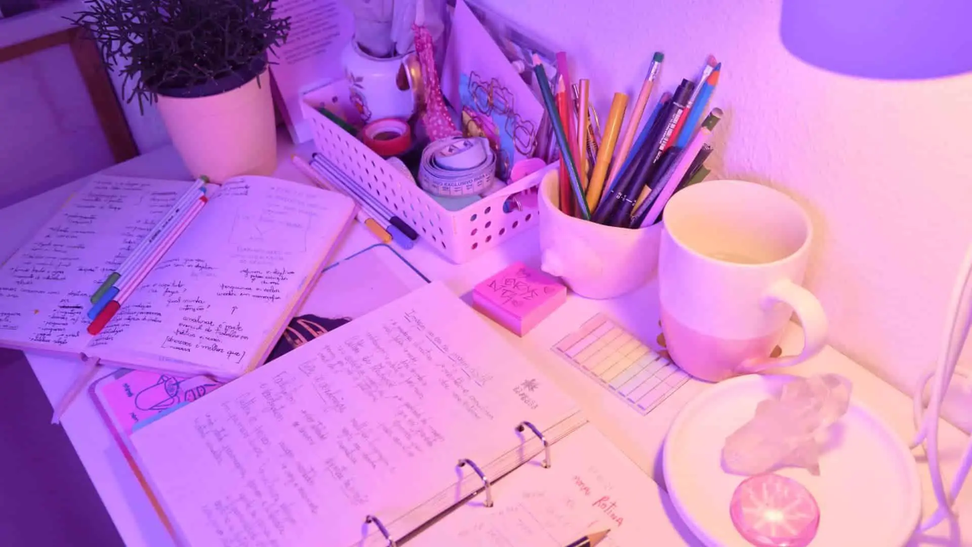 clean and organised college supplies and stationary on a desk