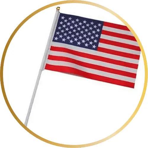 Joe Dirt Small American Flag