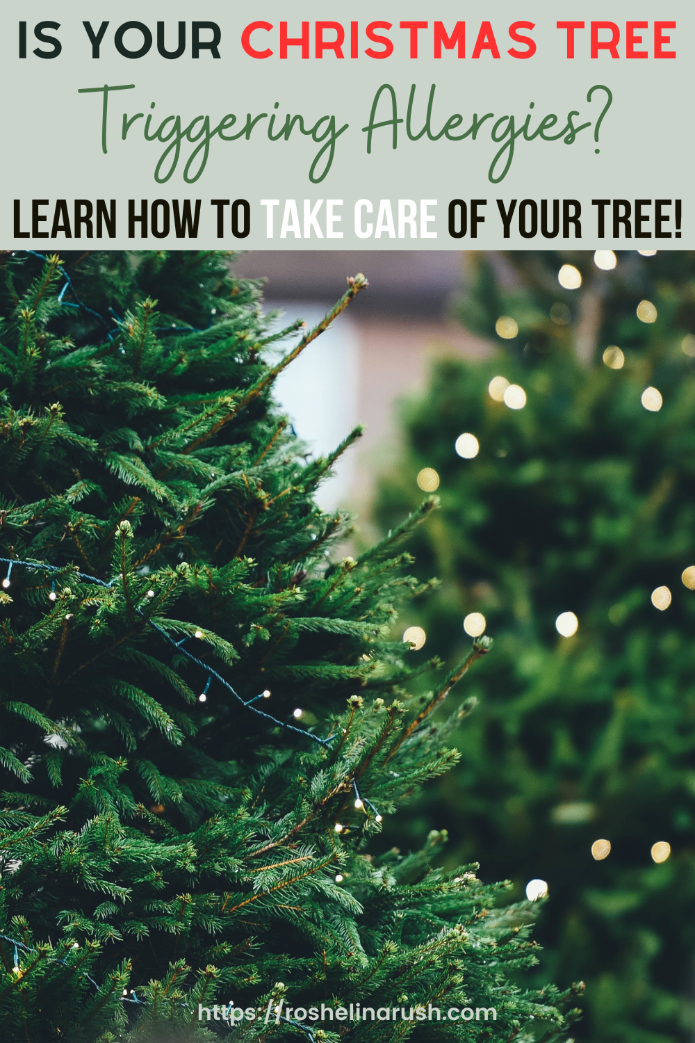 Is Your Christmas Tree Triggering Allergies