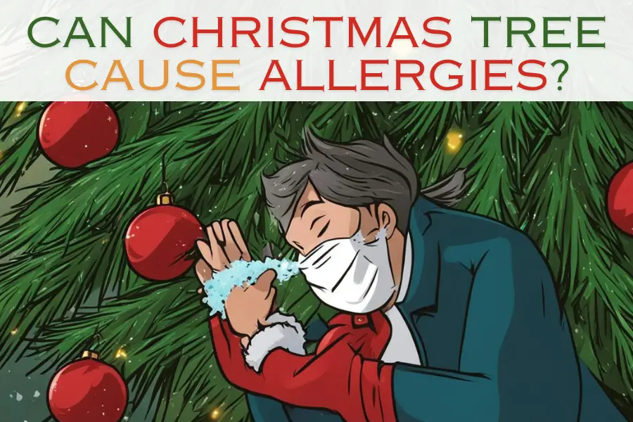can christmas tree cause allergies over the holidays