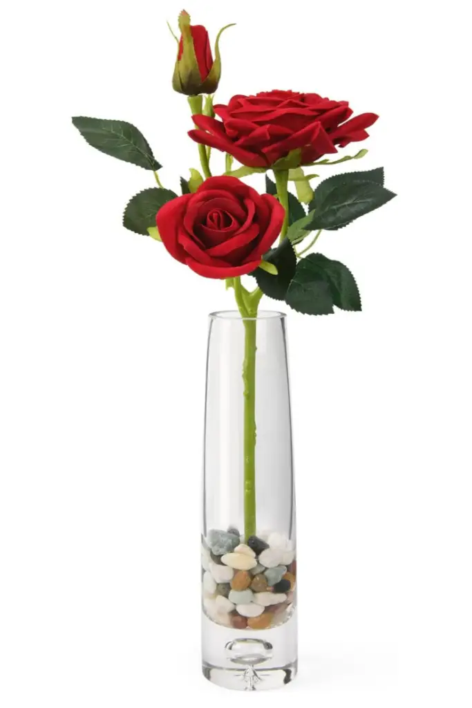 vase of roses